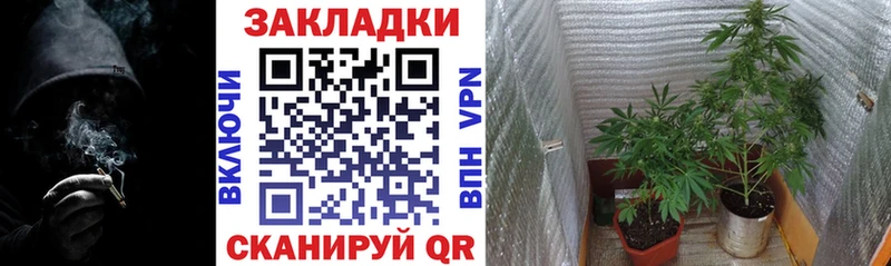 Сколько стоит Ершов Конопля  АМФЕТАМИН  COCAIN  ГАШ  Мефедрон  МЕГА ссылка  A PVP 