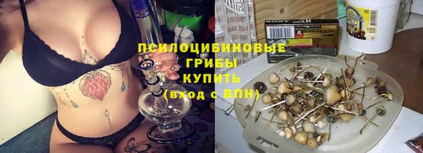 прущие крисы Белоозёрский