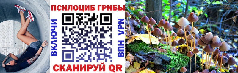 Псилоцибиновые грибы Psilocybine cubensis  Ершов 